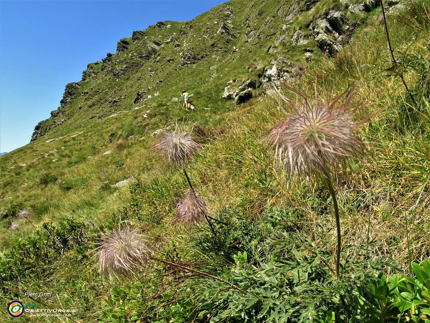 56 In traverso nel canalino di salita alla Bocchetta di Budria.JPG